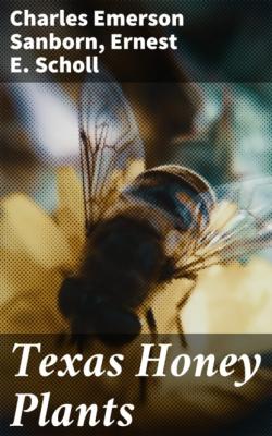 Texas Honey Plants - Ernest E. Scholl 
