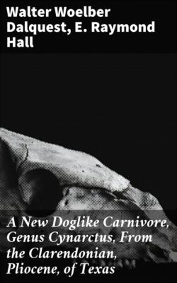 A New Doglike Carnivore, Genus Cynarctus, From the Clarendonian, Pliocene, of Texas - E. Raymond Hall 
