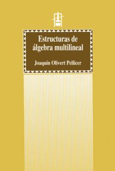 Скачать Estructuras de álgebra multilineal - Joaquín Olivert Pellicer