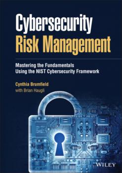 Скачать Cybersecurity Risk Management - Cynthia Brumfield