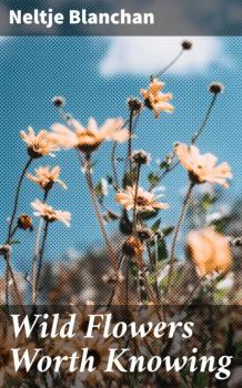Скачать Wild Flowers Worth Knowing - Blanchan Neltje