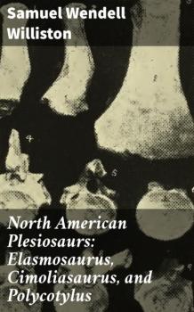 Скачать North American Plesiosaurs: Elasmosaurus, Cimoliasaurus, and Polycotylus - Samuel Wendell Williston