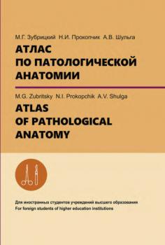 Скачать Атлас по патологической анатомии. ATLAS OF PATHOLOGICAL ANATOMY - А. В. Шульга