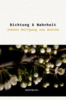 Скачать Dichtung und Wahrheit - Johann Wolfgang von Goethe