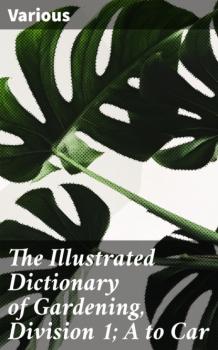 Скачать The Illustrated Dictionary of Gardening, Division 1; A to Car - Various