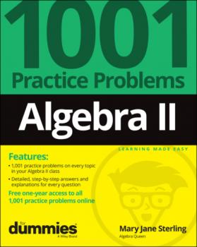 Скачать Algebra II: 1001 Practice Problems For Dummies (+ Free Online Practice) - Mary Jane Sterling