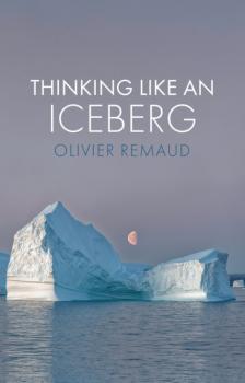 Скачать Thinking Like an Iceberg - Olivier Remaud
