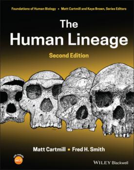 Скачать The Human Lineage - Matt  Cartmill