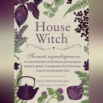 Скачать House Witch. Полный путеводитель по магическим практикам для защиты вашего дома, очищения пространства и восстановления сил - Эрин Мёрфи-Хискок