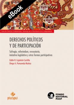 Скачать Derechos políticos y de participación - Cajaleón Pomareda