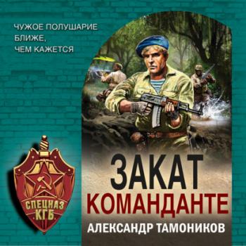 Скачать Закат команданте - Александр Тамоников