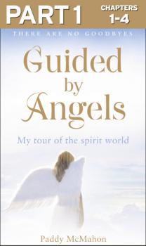Скачать Guided By Angels: Part 1 of 3: There Are No Goodbyes, My Tour of the Spirit World - Paddy McMahon
