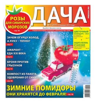Скачать Дача Pressa.ru 01-2023 - Редакция газеты Дача Pressa.ru
