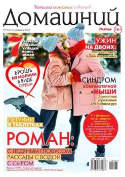 Скачать Домашний Журнал 03-2023 - Редакция журнала Домашний Журнал