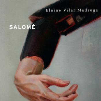 Скачать Salomé (Completo) - Elaine Vilar Madruga