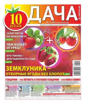 Скачать Дача Pressa.ru 11-2016 - Редакция газеты Дача Pressa.ru