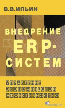 Скачать Внедрение ERP-систем: управление экономической эффективностью - В. В. Ильин