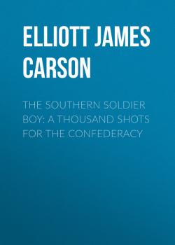 Скачать The Southern Soldier Boy: A Thousand Shots for the Confederacy - Elliott James Carson