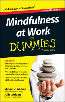 Скачать Mindfulness At Work For Dummies - Shamash  Alidina