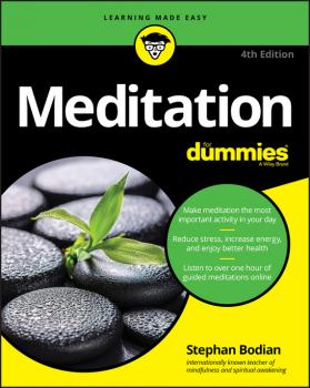 Скачать Meditation For Dummies - Stephan  Bodian
