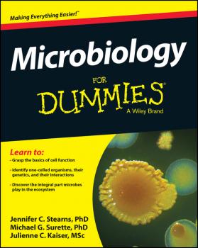 Скачать Microbiology For Dummies - Jennifer  Stearns