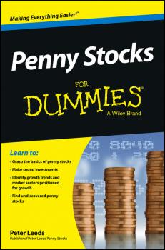 Скачать Penny Stocks For Dummies - Peter  Leeds
