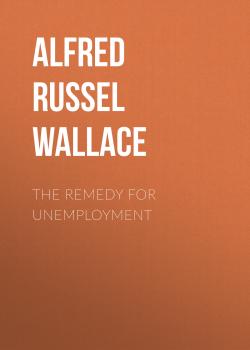 Скачать The Remedy for Unemployment - Alfred Russel Wallace