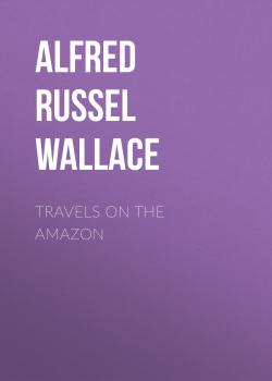 Скачать Travels on the Amazon - Alfred Russel Wallace