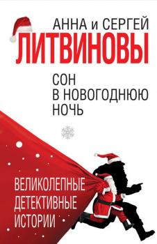 Скачать Сон в новогоднюю ночь (сборник) - Анна и Сергей Литвиновы