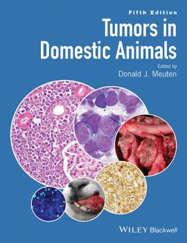 Скачать Tumors in Domestic Animals - Donald Meuten J.
