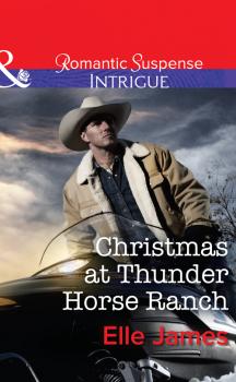 Скачать Christmas at Thunder Horse Ranch - Elle James