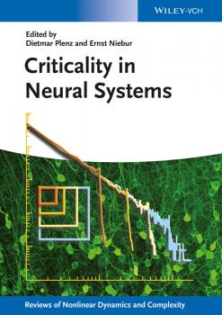 Скачать Criticality in Neural Systems - Dietmar  Plenz