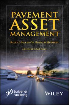 Скачать Pavement Asset Management - Ralph  Haas