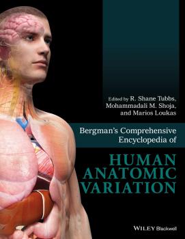 Скачать Bergman's Comprehensive Encyclopedia of Human Anatomic Variation - Marios  Loukas