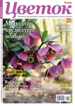 Скачать Цветок 05-2019 - Редакция журнала Цветок