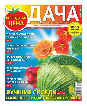 Скачать Дача Pressa.ru 07-2019 - Редакция газеты Дача Pressa.ru