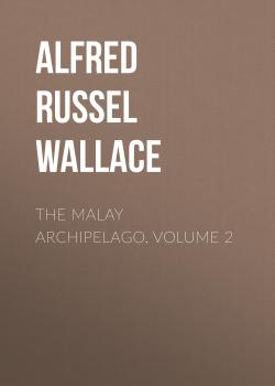 Скачать The Malay Archipelago, Volume 2 - Alfred Russel Wallace