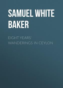 Скачать Eight Years' Wanderings in Ceylon - Samuel White Baker