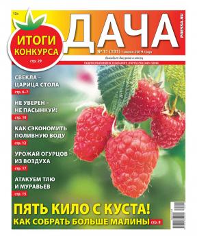 Скачать Дача Pressa.ru 11-2019 - Редакция газеты Дача Pressa.ru