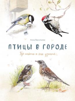 Скачать Птицы в городе - Анна Васильева