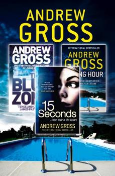 Скачать Andrew Gross 3-Book Thriller Collection 2: 15 Seconds, Killing Hour, The Blue Zone - Andrew  Gross