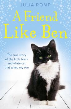 Скачать A Friend Like Ben: The true story of the little black and white cat that saved my son - Julia Romp