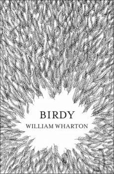 Скачать Birdy - William  Wharton