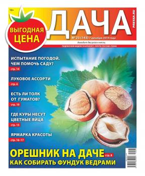 Скачать Дача Pressa.ru 23-2019 - Редакция газеты Дача Pressa.ru