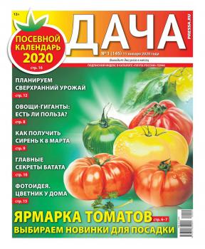 Скачать Дача Pressa.ru 01-2020 - Редакция газеты Дача Pressa.ru