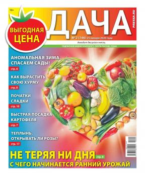 Скачать Дача Pressa.ru 02-2020 - Редакция газеты Дача Pressa.ru