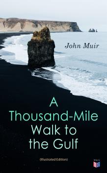 Скачать A Thousand-Mile Walk to the Gulf (Illustrated Edition) - John Muir