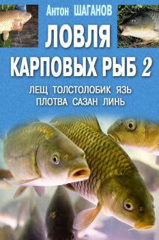 Скачать Ловля карповых рыб – 2 - Антон Шаганов