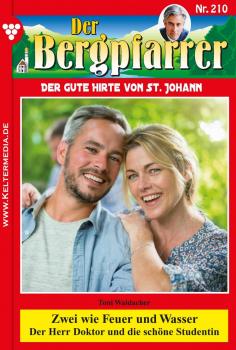 Скачать Der Bergpfarrer 210 – Heimatroman - Toni  Waidacher