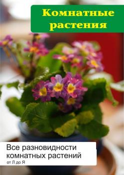Скачать Все разновидности комнатных растений (от Л до Я) - Илья Мельников